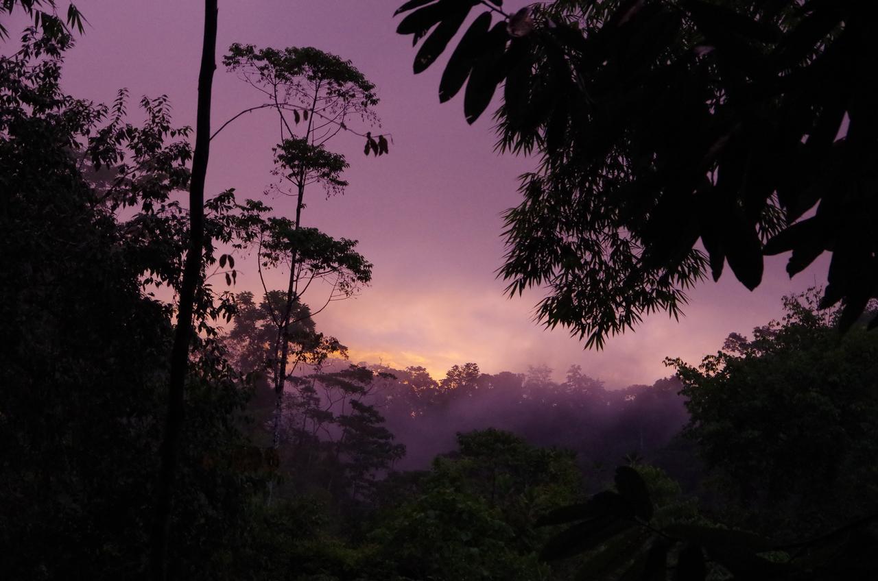 Amazonita Ecolodge Dos Brazos Экстерьер фото