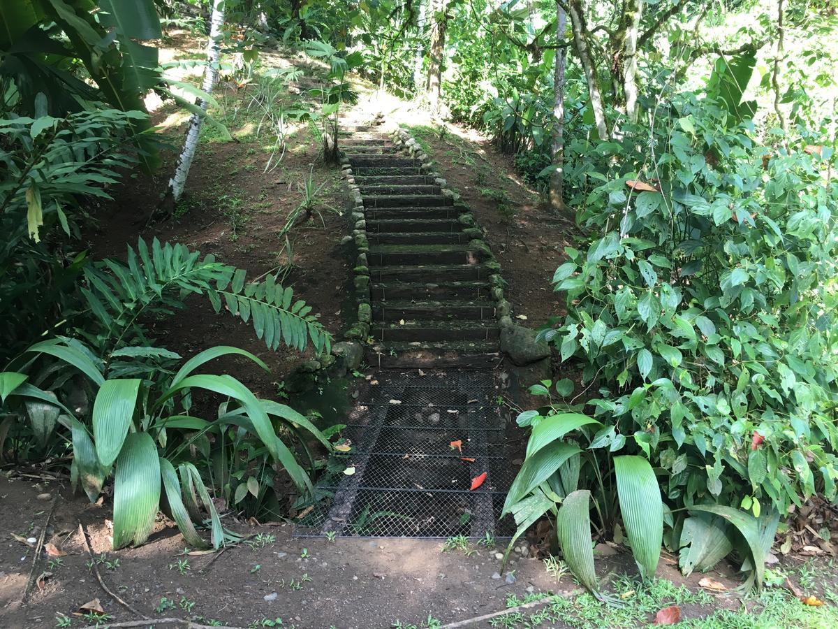 Amazonita Ecolodge Dos Brazos Экстерьер фото