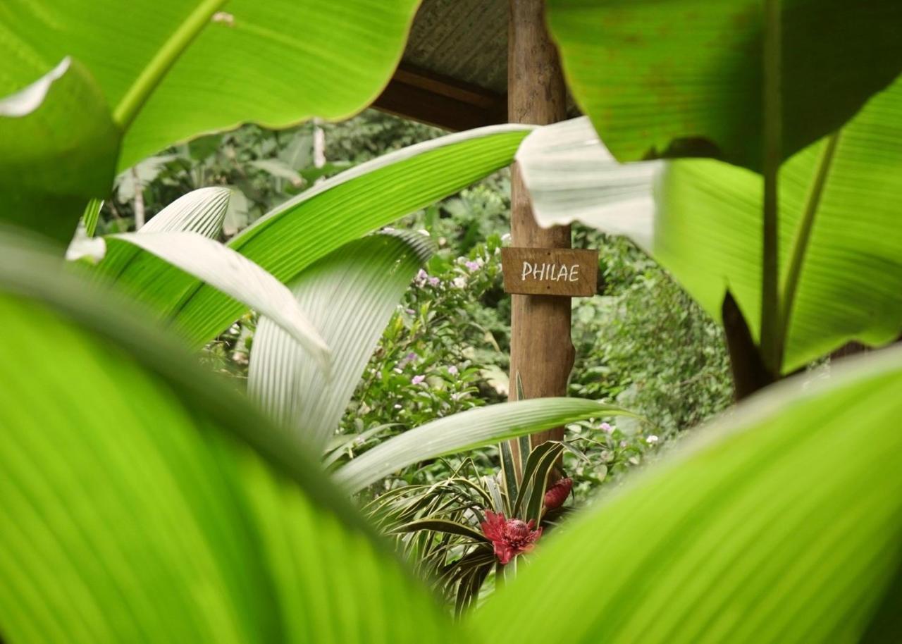 Amazonita Ecolodge Dos Brazos Экстерьер фото