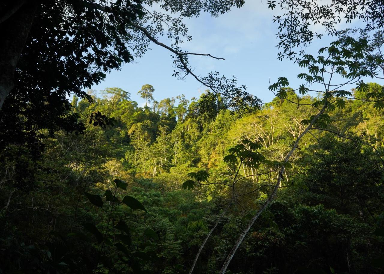 Amazonita Ecolodge Dos Brazos Экстерьер фото